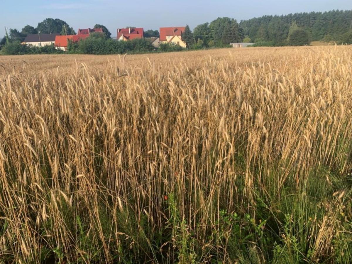 Tumidaj Cottage Bogacko Zewnętrze zdjęcie
